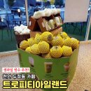트로피티아일랜드천안두정점 이미지