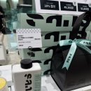 산스(sans)