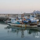 연평중학교 이미지