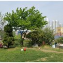 더럭스나인공인중개사사무소 이미지