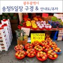 송정매일시장 | 광주 송정5일시장 구경 상가 안내도 주차정보