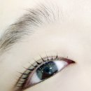 봄보다뷰티