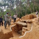 초촌리 고분군 이미지