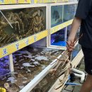 명가영덕대게 | 속초, 고성 대포항 찐맛집 내돈내산 어른들도 반한 횟집 추천 대게+회 코스 솔직 후기ㅣ명가횟집