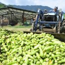 간동우체국 이미지