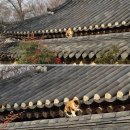 초원애견샵 | 전주 1박 2일 애견 동반 여행 코스 (히포파운드/전주...마왕육전,조점례피순대/초원편의점/현대옥/풍년...