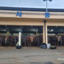 용암1농장 이미지