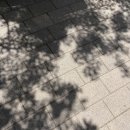 (주)에이씨알코리아 | [주간 일기] 7월 넷째 주(방탈출, 베이킹 클래스, 낙지 맛집, 성률 기획전, 구슬 아이스크림, 현대카드...