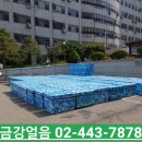 금곡얼음