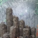 도음산 유아숲체험원 이미지