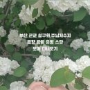 밀비민물
