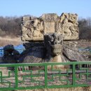 여주-1103 이미지