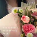 6월 일상 기록 3 | 따뜻한 이들의 사랑으로 무럭무럭 자라났던 6월, 이제 안녕!