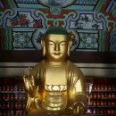 벽지리 충효사 | 화순 총마계회도 국가 보물 승격/제21회 남도시립합창제 여수시민회관에서 개최/여수시립도서관,제 6회...