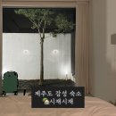 시재시재 | 제주도 감성 숙소 서쪽 한경면 독채펜션 시재시재