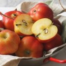 영주농장 이미지