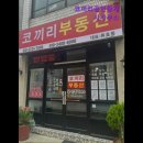 코끼리공인중개사사무소 | [신림동 월세] 코끼리공인중개사사무소 신림동 월세의 전문성