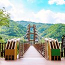 증평군 ‘좌구산 자연휴양림=흔한 호수 다리가 아닙니다… 230m 산악 협곡을 가르는 아찔한 다리 이미지