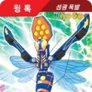 윙톡
