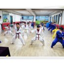 K 용인대태권도 이미지