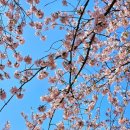 개금2동-4 이미지