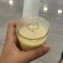 트라이브 | [제주맛집] 협재 애월 내돈내산 방문 후기 ｜ 수선화식당, RNR, 트라이브