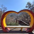 좌구산편의점 이미지