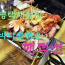 바다를품은해적선 이미지