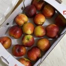 씨유신곡본점 | 습도와 폭염의 대결