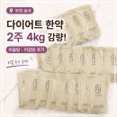 삼일한의원 | 부천 송내 다이어트 한약 후기｜비움탕 미감탕으로 2주 4kg 감량