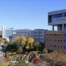 함마대로-2 이미지