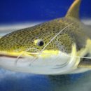 하람PC방 이미지