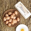 황성농장 이미지