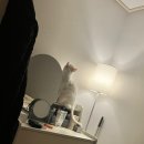 행복인테리어 | 행복주택 36형 조명 인테리어 후기｜분위기 달라진 이유