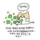 선미쌈밥정식 | [일상] 놓칠 수 없는 행복한 5월