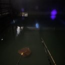 연정낚시터 이미지