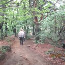 옻샘약수터 이미지