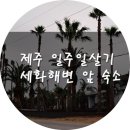 동녁분식 | 제주도 일주일살기 숙소 세화해변 가까운 곳