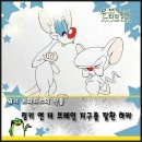 핑키앤브레인