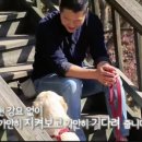 개스트하우스다냥 이미지