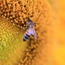 구와우농장 이미지