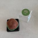 대평공원 | 세종 두바이 쫀득쿠키 맛집 수자매롱 방문 후기