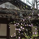 덕현허브 이미지