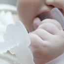 [공구] 메디토이 아기 국민 실리콘 손목치발기 이미지