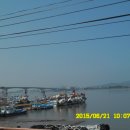 염하강철책길 이미지