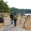 제주올레카라반 & 캠핑 이미지