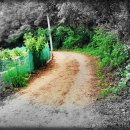 1-14호어린이공원 이미지