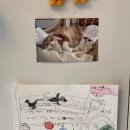 비건이즈힙 | [화성시 송동 / 비건 베이커리 & 카페] 비건이즈힙(Vegan is Hip)