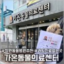 토베스트 동물병원 | [창원/동물병원] 과잉 진료 없는 창원 동물 병원 추천 ‘가온동물의료센터’ 후기
