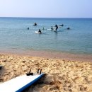 대진해변 이미지